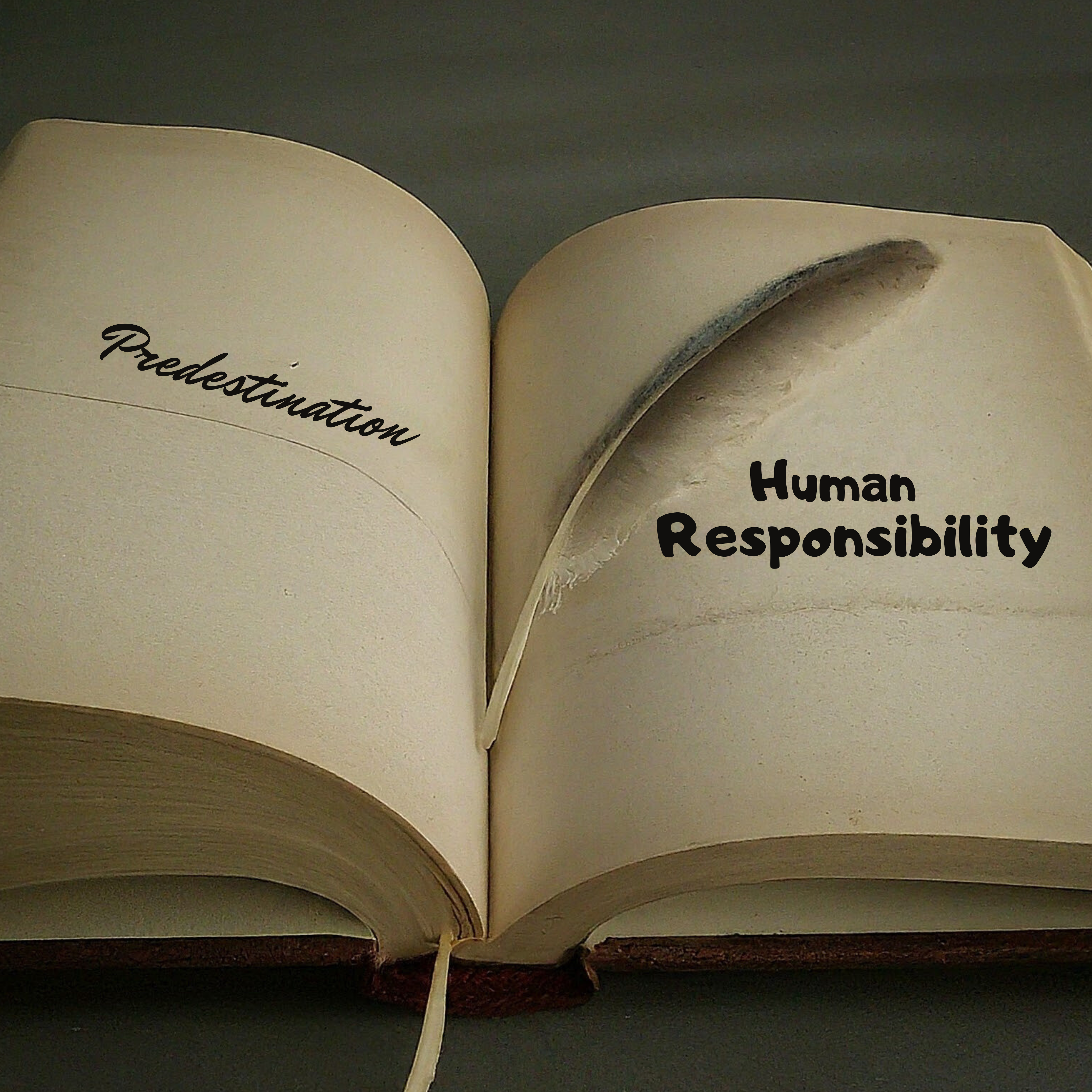 predestination and free will