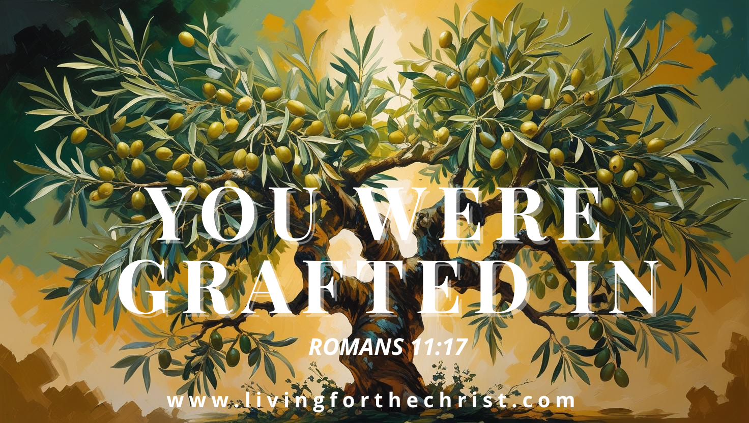 You have been grafted in romans 11:17