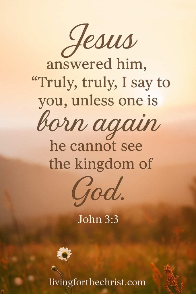 john 3:3 bible image quote